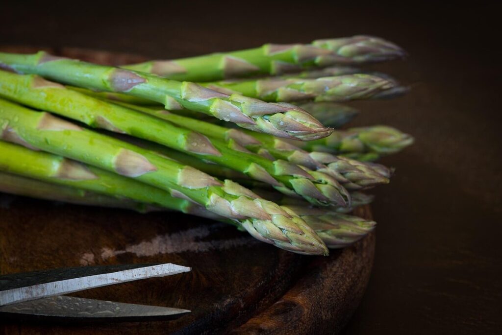 Asparagina: la pianta elegante che arreda con leggerezza