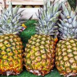 Coltivare l’Ananas in Casa: Tutto Quello che Devi Sapere per Farlo Crescere con Successo