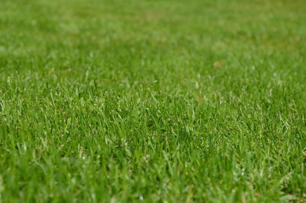 Pavimentazione da giardino: quando serve un permesso e quando no