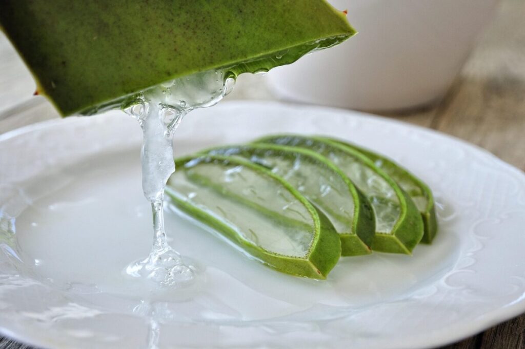 Aloe vera: la pianta miracolosa da coltivare in casa con facilità Aloe vera: la pianta miracolosa da coltivare in casa con facilità