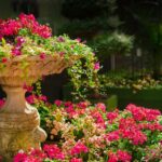 Cosa si può costruire in giardino senza permessi? Tutto quello che rientra nell’Edilizia Libera