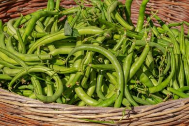 Le principali minacce per fagioli e fagiolini: come riconoscerle e affrontarle