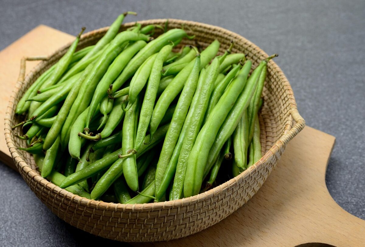 Le principali minacce per fagioli e fagiolini: come riconoscerle e affrontarle Le principali minacce per fagioli e fagiolini: come riconoscerle e affrontarle