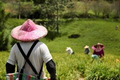 Cos’è lo sfratto agrario e quando si applica