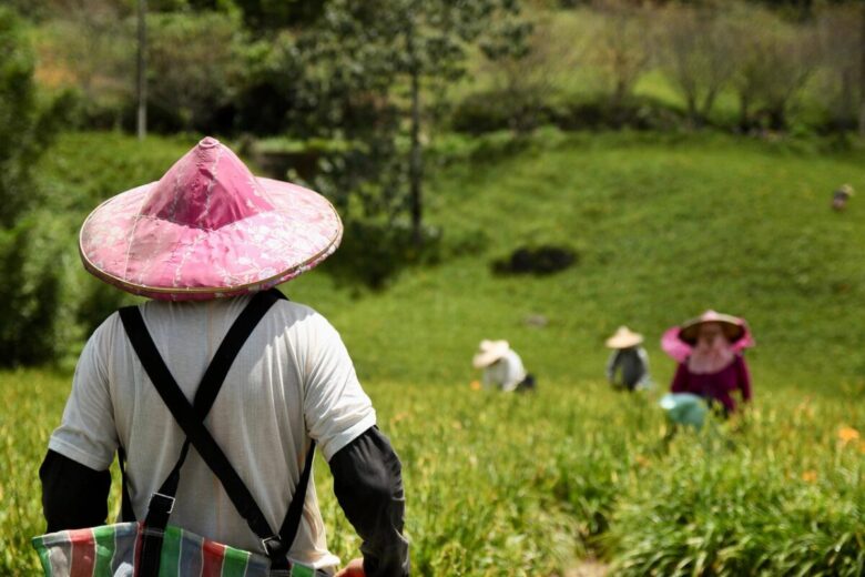 Cos’è lo sfratto agrario e quando si applica