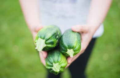 Perché le zucchine non crescono? Le cause più comuni e i rimedi più efficaci