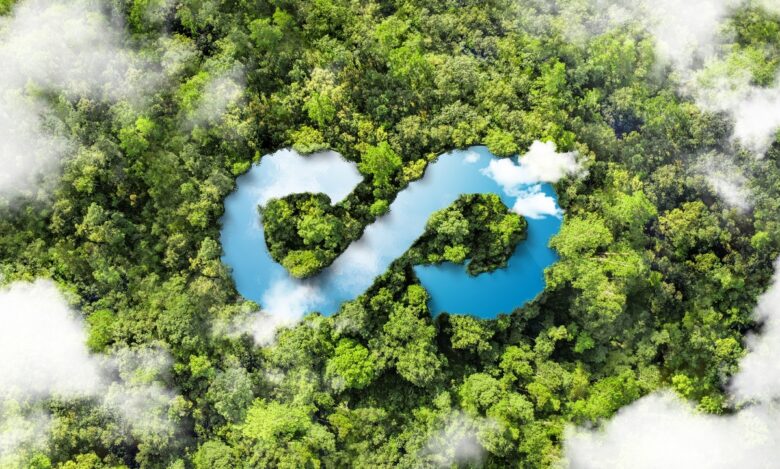 Auto elettriche in Italia: cinque strategie per accelerare la transizione