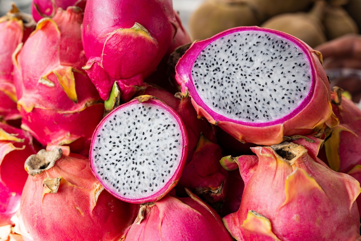 Il frutto del drago: come coltivare e curare la pitaya con successo Il frutto del drago: come coltivare e curare la pitaya con successo