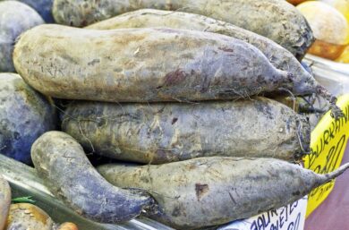 Patata dolce: come coltivare l’Ipomoea batatas nell’orto di casa