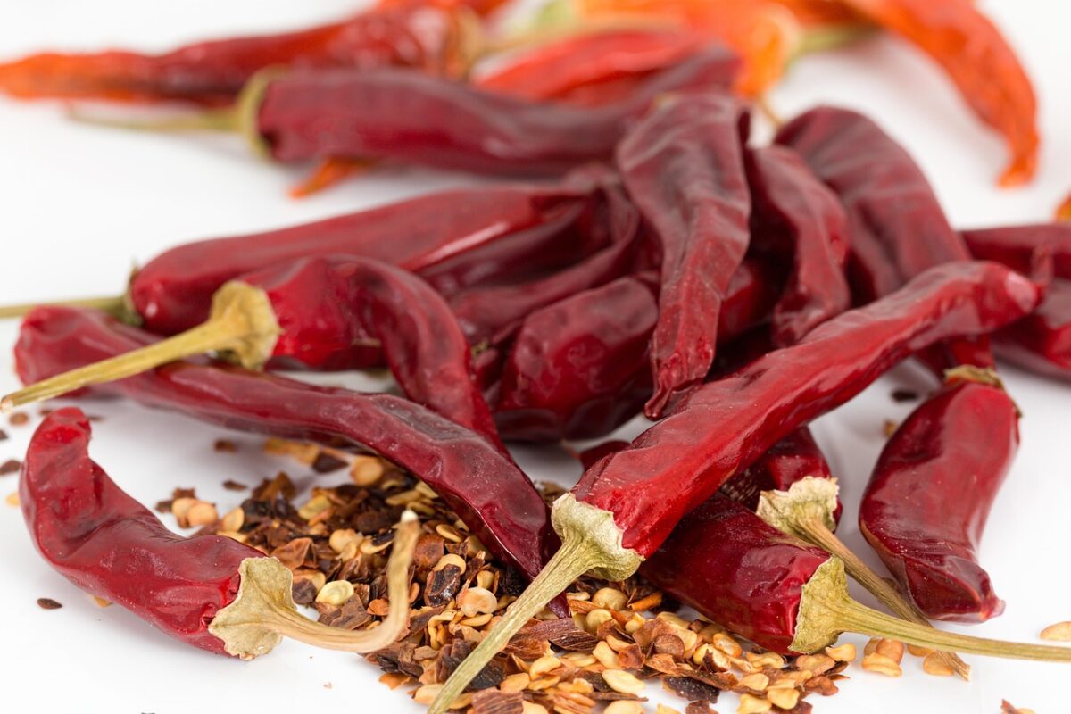 Peperoncino ornamentale: colore e carattere in vaso tutto l’anno