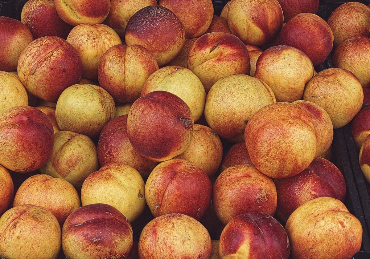 Pesco: il frutto dell’estate che puoi coltivare anche nel tuo giardino