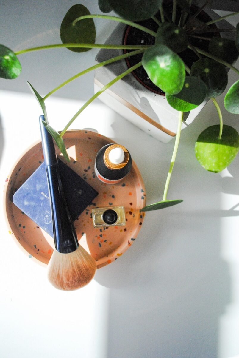 Pianta delle monete: la guida completa per coltivare la Pilea in casa