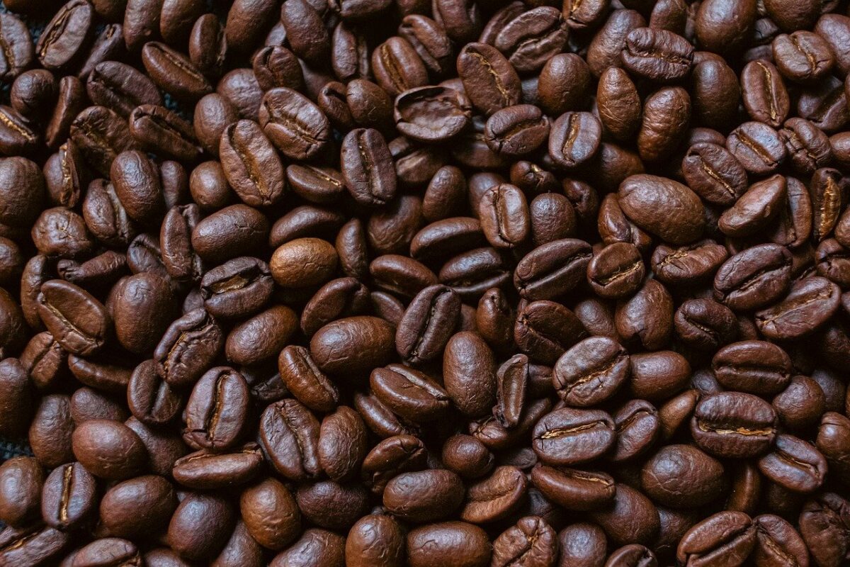 Pianta del caffè: come coltivarla in casa e farla crescere rigogliosa Pianta del caffè: come coltivarla in casa e farla crescere rigogliosa